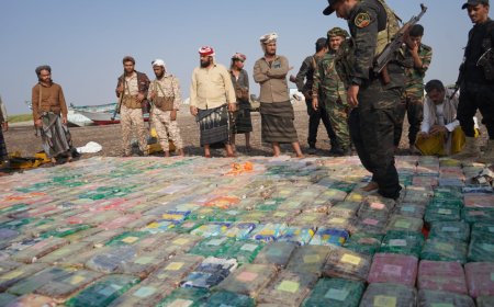 نجاح أمني نوعي في لحج.. الحملة البحرية بالصبيحة وباب المندب تحبط أكبر شحنة مخدرات منذ مطلع العام