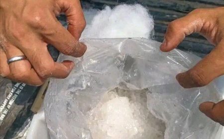 استخدام مادة الشبو في شيش كورنيش ساحل أبين بخورمكسر