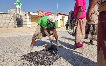 فريق الصيانة بمكتب الاشغال العامة والطرق بمديرية القطن يقوم بأعمال ردم الحفر في الاسفلت داخل المدينة و السوق التجاري