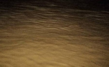 سيول مفاجئة تقطع الطريق الدولي في وادي أحور وتوقف حركة المركبات