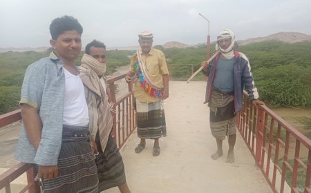 مدير مكتب الزراعة والري يتفقد منشأة الري بدلتا أحور