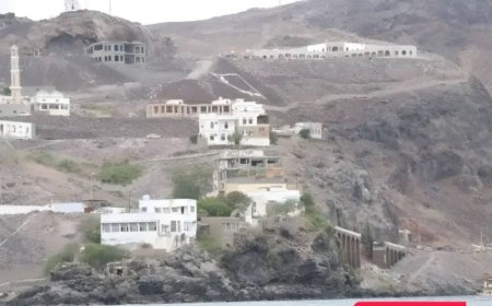 العمالقة تنفي إقتحام منازل بعدن وتؤكد استعادة وإستلام مقرات حكومية