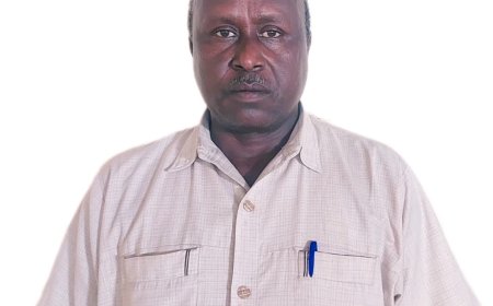 إدانة قوية لهجوم لقاوة: تمازج تؤكد أن الحرب في السودان تحولت إلى استهداف مباشر للأبرياء وتدعو لتدخل مجلس الأمن