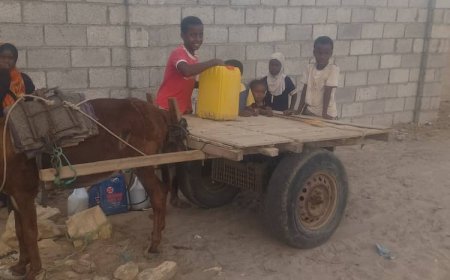 أهالي منطقة المخزن بخنفر يناشدون محافظ أبين "الرباش" إنهاء أزمة انقطاع المياه