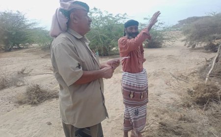 مدير مكتب الزراعة والري في دلتا أحور ينفذ نزولاً ميدانياً لحصر أضرار السيول والأمطار