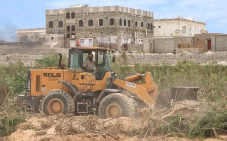 إزالة أشجار السيسبان من أودية المهرة تحسبًا للمنخفض الجوي المحتمل