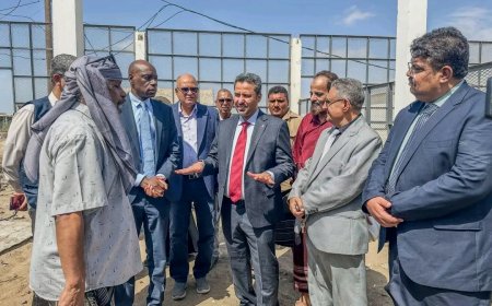 محافظ لحج الحالمي ووكيل وزارة الزراعة والقائمَ بأعمال الممثل المقيم لمنظمة (الفاو) في اليمن يطلعوا على مشاريع تنموية زراعية بالمحافظة