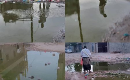 بتوجيهات مدير عام عتق.. إدارة صحة البيئة تنفذ حملة رش (رذاذي) عقب هطول الأمطار الأخيرة