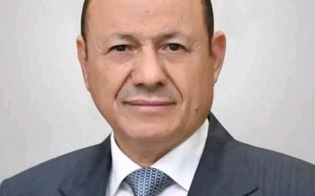 رئيس مجلس القيادة يطلع من عضو المجلس طارق صالح على آثار المنخفض الجوي في المديريات الغربية