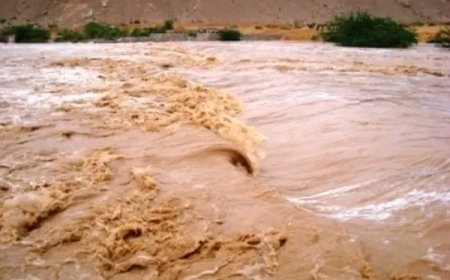 وحدة إدارة الأزمات والكوارث بالمهرة تحذر المواطنين من مخاطر عبور الأودية ومجاري السيول