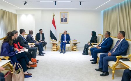 رئيس الوزراء يلتقي نائب رئيس البنك الدولي ويؤكد أهمية تعزيز الشراكة ودعم أولويات الحكومة