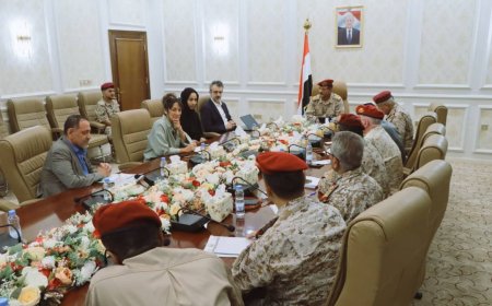 نائب رئيس الأركان يناقش مع خبيرة دولية ملف تجنيد الأطفال وانتهاكات مليشيات الحوثي الارهابية
