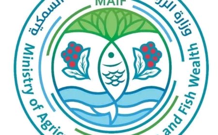 وزارة الزراعة والأسماك تحذر الصيادين من تداعيات المنخفض الجوي