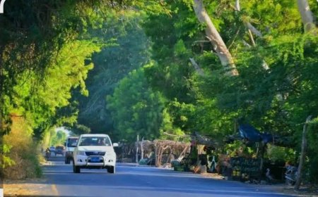 شخصيات إجتماعية وقبلية تبارك قرار محافظ ابين برفع وإزالة نقاط الجبايات في المحافظة..