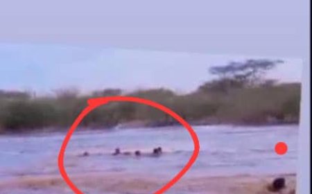 بين هدير السيول.. شجاعة عبدالرحمن الكشميمي تنقذ عائلة كاملة