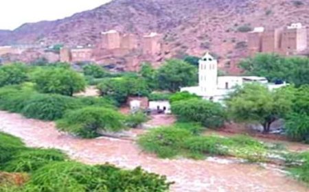 السلطة المحلية بخنفر تؤيد قرار محافظ أبين بمنع الجبايات غير القانونية وتؤكد دعمها لتعزيز الأمن والاستقرار