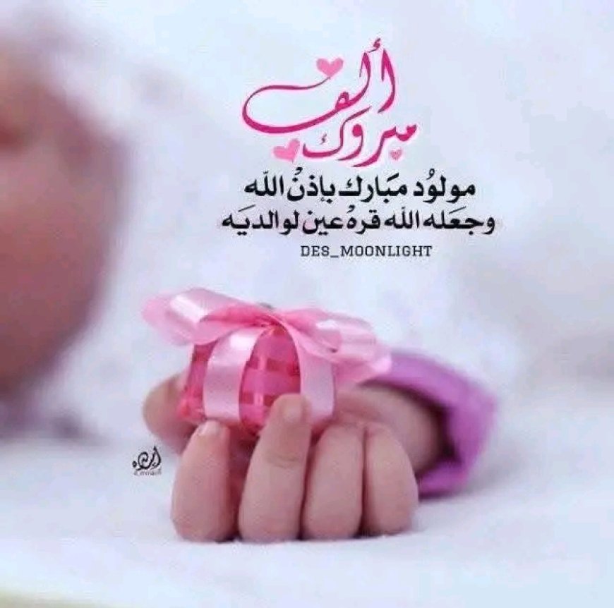 مبارك المولود البكر للشاب الخلوق علي مسف