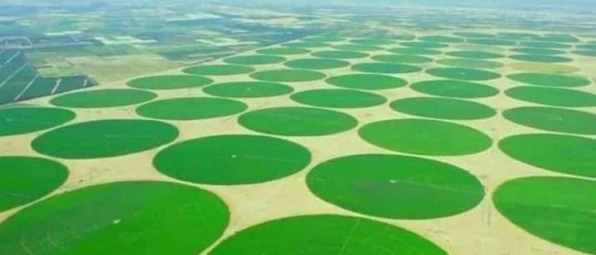 جهاز مستقبل مصر يسابق الزمن لاستصلاح 660 ألف فدان جنوب الداخلة