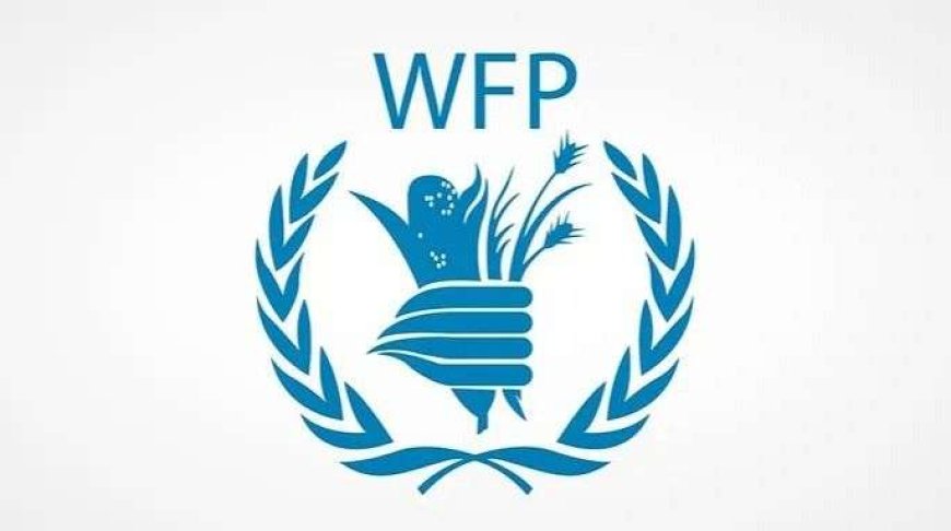 "الفاو" تعلن ارتفاع أسعار الغذاء العالمية في فبراير