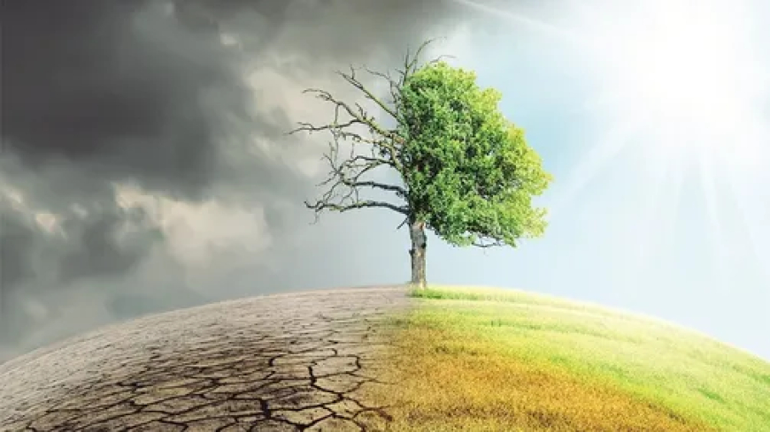 "تيراميد".. مبادرة تطرح مسارا جديدا لتعزيز أمن الطاقة في الأردن