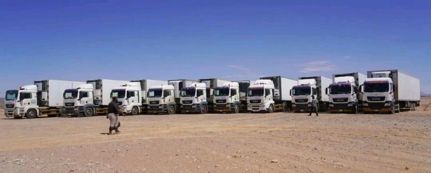 الدغاري يدشّن مشروع التدخلات الغذائية الطارئة في شبوة بدعم من مركز الملك سلمان للإغاثة والأعمال الإنسانية