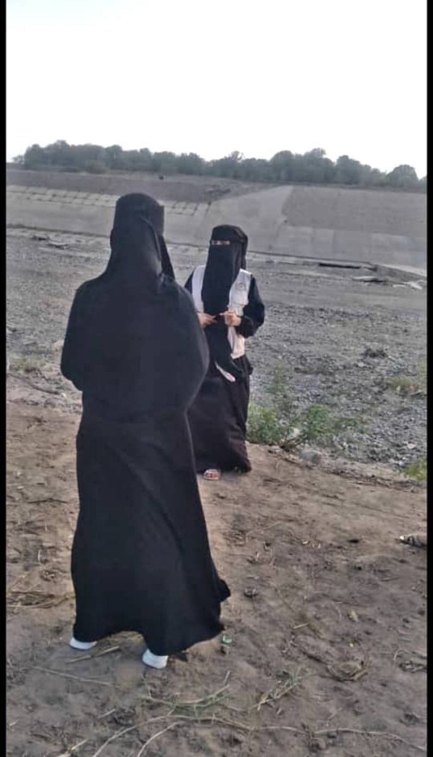 مؤسسة المحروسة تنفذ حملة توعوية لمجابهة مخاطر المنخفض الجوي في لحج