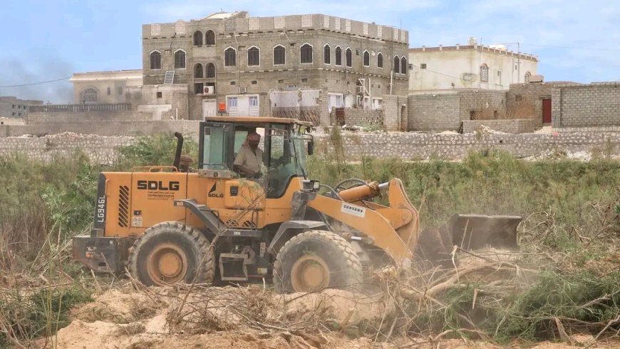 إزالة أشجار السيسبان من أودية المهرة تحسبًا للمنخفض الجوي المحتمل