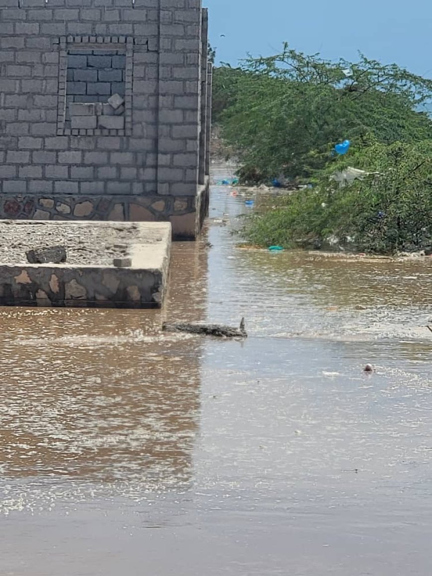 مناشدة عاجلة لإنقاذ شقرة من مخاطر السيول