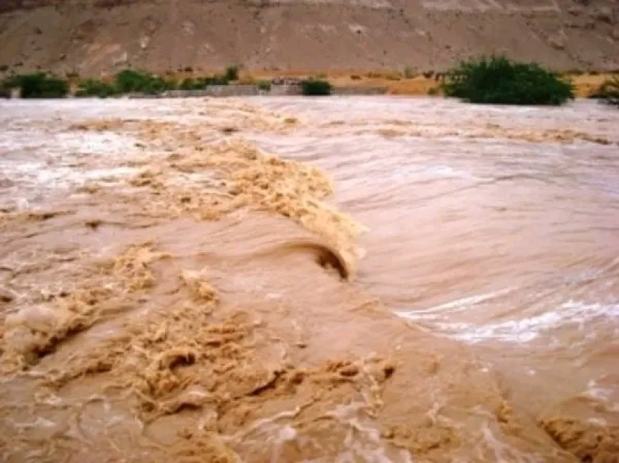 وحدة إدارة الأزمات والكوارث بالمهرة تحذر المواطنين من مخاطر عبور الأودية ومجاري السيول