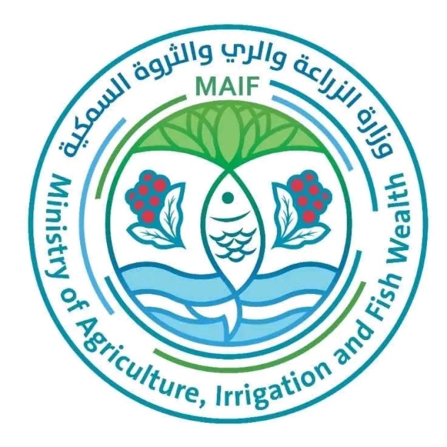 وزارة الزراعة والأسماك تحذر الصيادين من تداعيات المنخفض الجوي