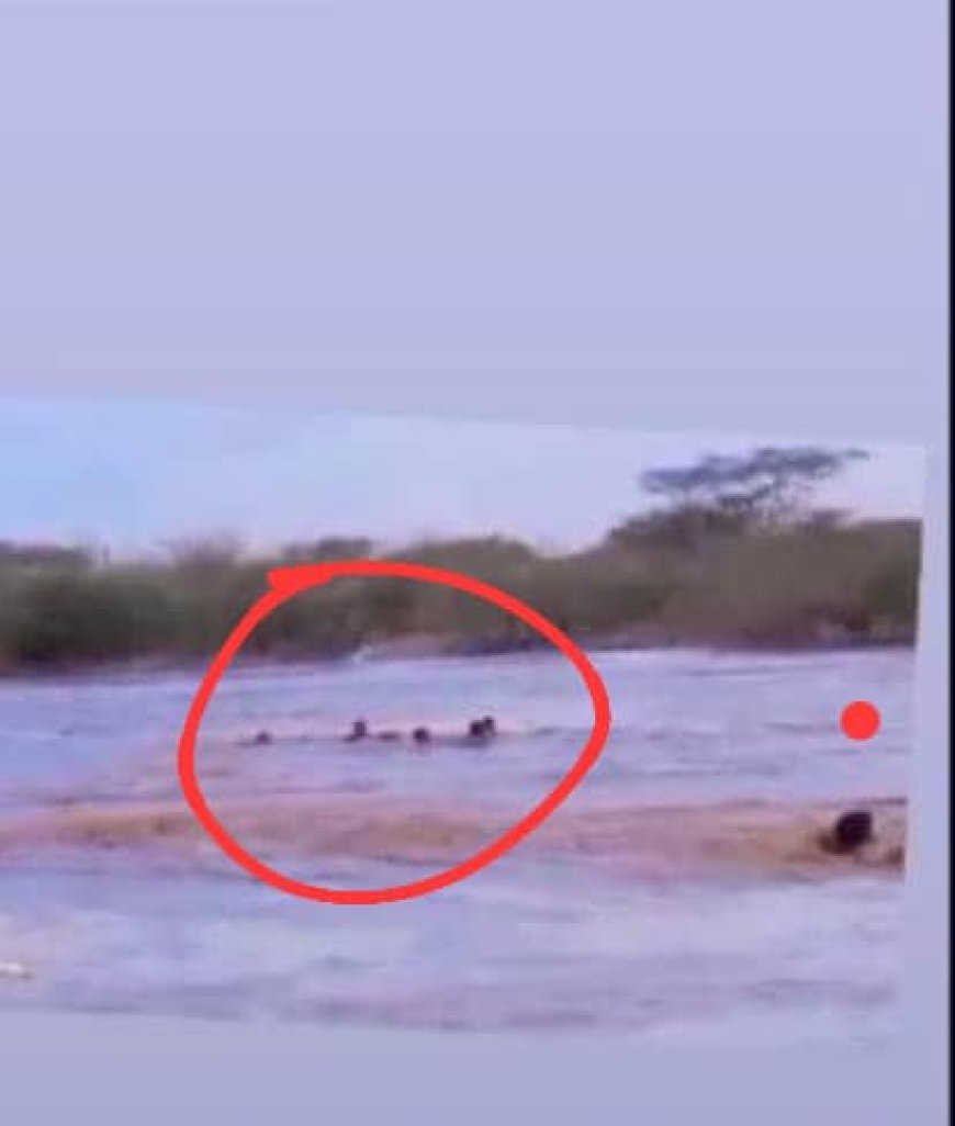 بين هدير السيول.. شجاعة عبدالرحمن الكشميمي تنقذ عائلة كاملة