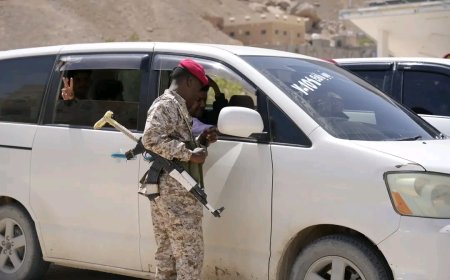 قوات درع الوطن تواصل حملة منع حمل السلاح في القطن