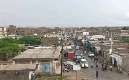 أهالي أحور يطالبون بنقل سوق القات بشكل عاجل خارج المدينة حفاظًا على الأرواح بسبب الثارات