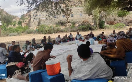 توافق قبلي يُتوَّج بالثقة: الشيخ بازل الداعري شيخًا لمشايخ الداعري بردفان خلفًا للشيخ حمران