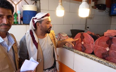 ضبط (5) مخالفات بحملة على أسواق الأسماك المنصورة