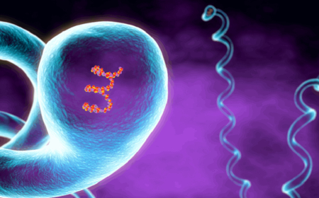 مرض خطير ينتشر في الولايات المتحدة الأمريكية يهدد سكانها .