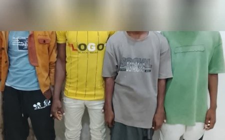 ضبط عصابة متورطة في سرقات وعمليات احتيال في لحج