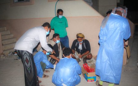 مكتب الأشغال العامة والطرق بالمديرية ينفذ حملة تسميم الكلاب الضالة بمدينة بروم