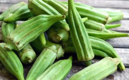 الخضيري.. الباميا غذاء متكامل يعزز صحة القلب والهضم ويضبط سكر الدم