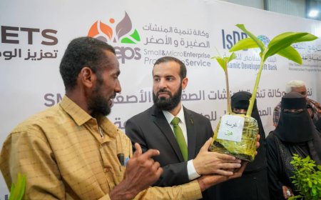 محافظ أبين "الرباش" لا يكتفي بإدارتها  فقط بل يعيد تشكيل صورتها الذهنية أمام العالم 