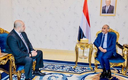 عضو مجلس القيادة محمود الصبيحي يبحث مع الـ (IOM) أوضاع الهجرة والتحديات الإنسانية المرتبطة بها