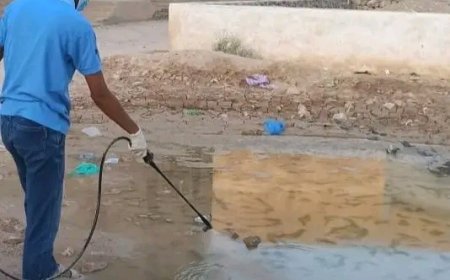 صحة وادي حضرموت تدشن حملة لمكافحة البعوض الناقل للحميات بسيئون