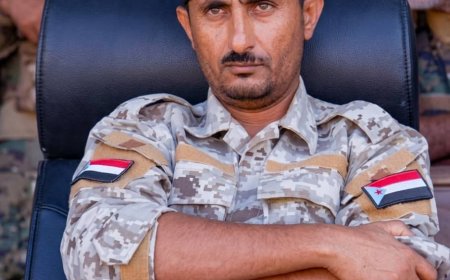 "ما حد بيرجع بطن أمه".. إذا لم يُصلَح الوضع ولو نسبيًا فلن ننتظر إلى يناير