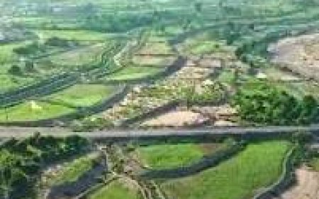 بساتين الحسيني في لحج… من واحة خضراء إلى ذكرى موجعة