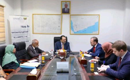 وزير الكهرباء يبحث مع مستشار المبعوث الأممي سبل تطوير البنية التحتية للطاقة