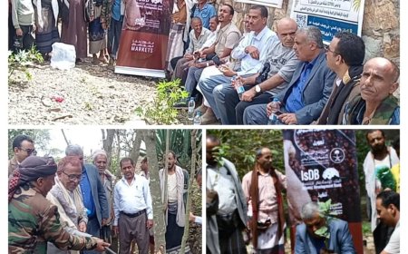 تعز.تدشين توزيع شتلات البن واقتلاع شجرة القات في بني يوسف .