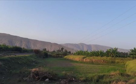 وفاة طفلين اختناقًا داخل سيارة في حبيل برق بباتيس أبين