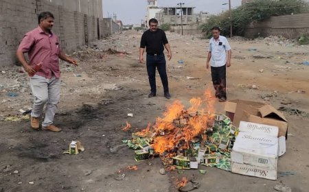 عدن.. صحة البيئة بالمنصورة تتلف أكثر من "200" باكت من شمة الحوت المحظور