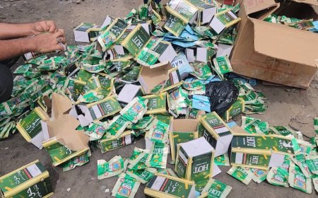 صحة البيئة بالمنصورة تتلف أكثر من "200" باكت من شمة الحوت المحضور