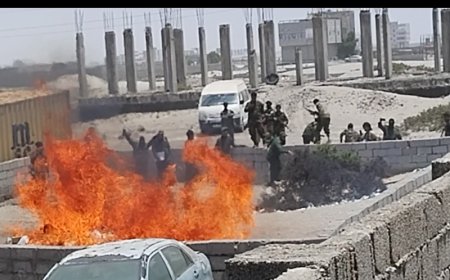 معركة وطنية لا هوادة فيها..  النيابة الجزائية المتخصصةتتلف كميات كبيرة من المخدرات